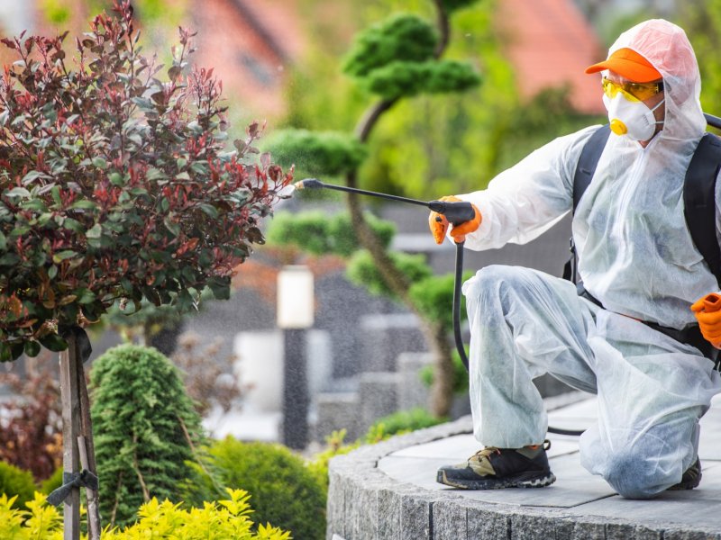 Mustafakemalpaşa Haşere İlaçlama